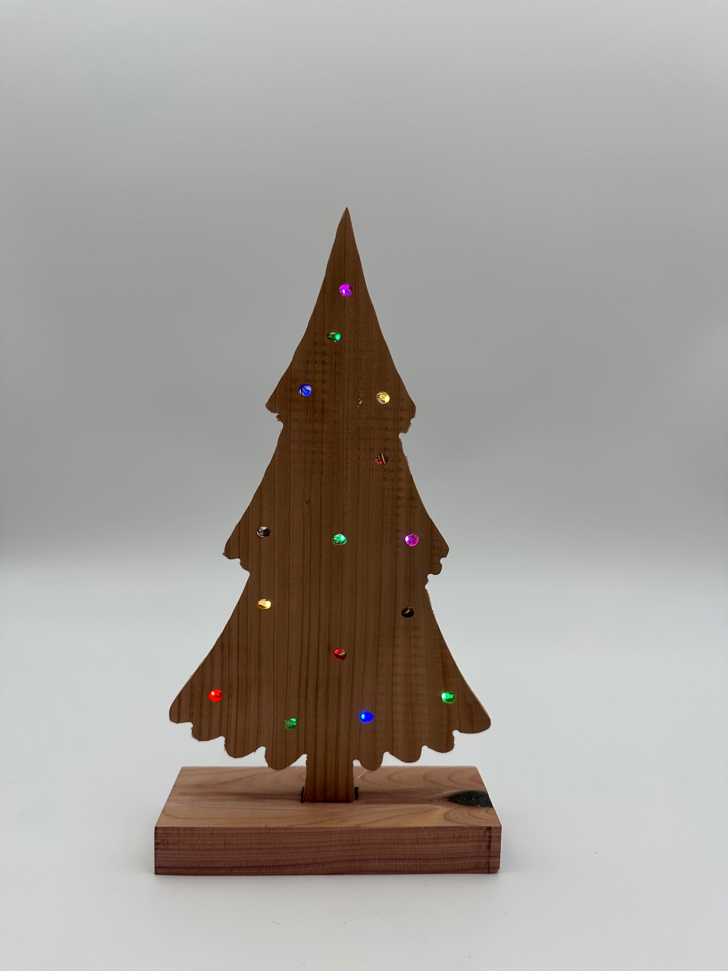 Indoor Lighted Holiday Tree