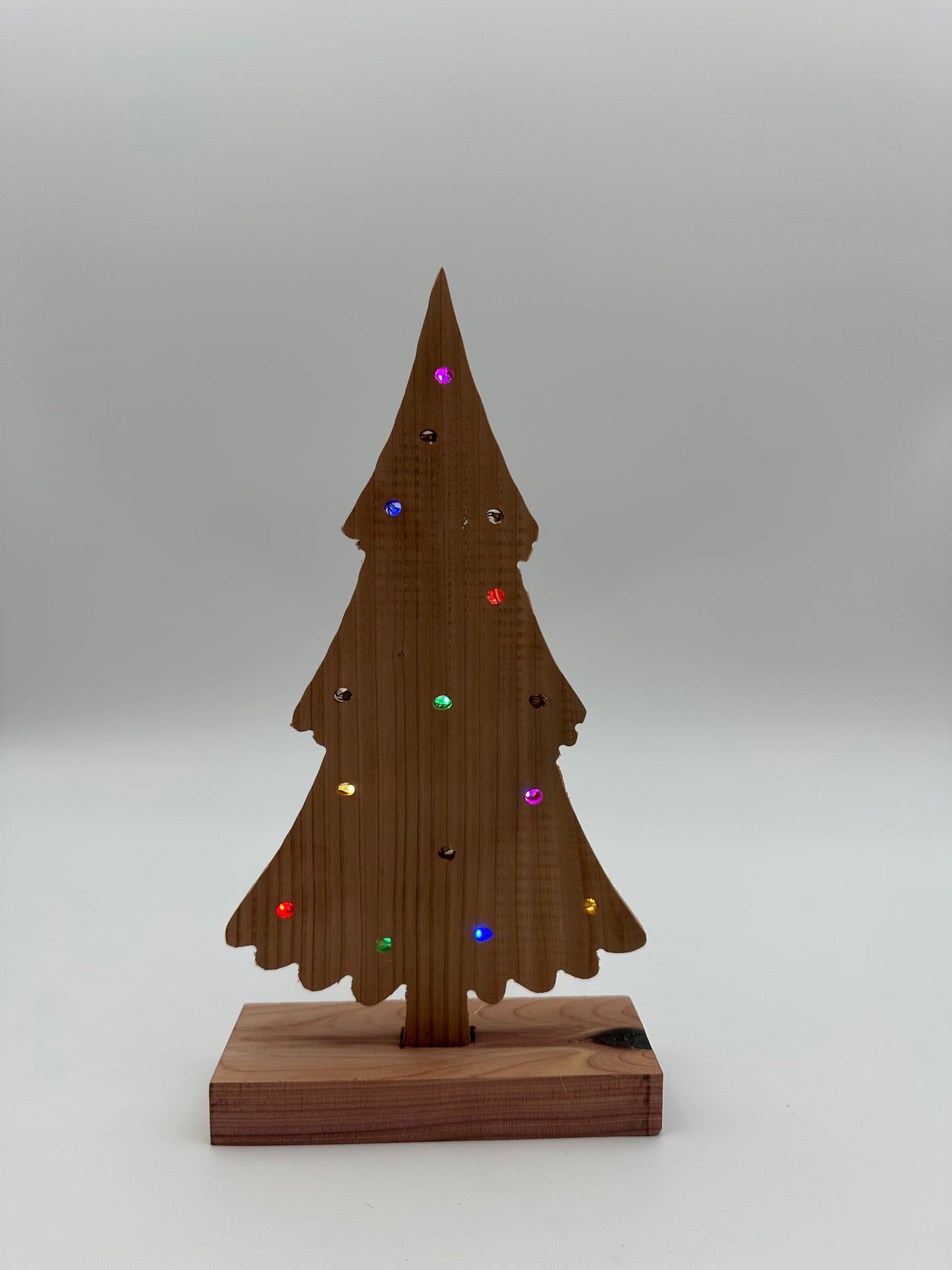 Indoor Lighted Holiday Tree